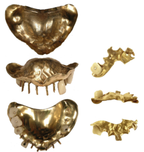Gold Mouth Plates
